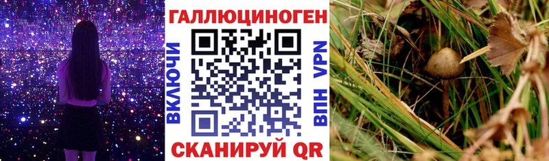 Галлюциногенные грибы Psilocybine cubensis  наркотики  Усолье 